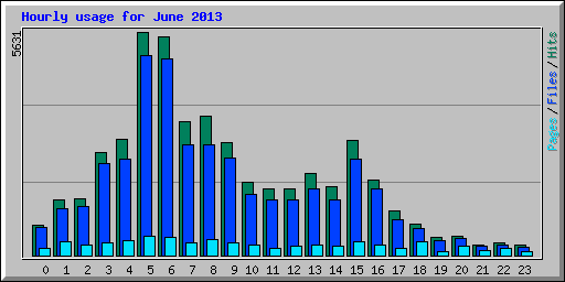 Hourly usage for June 2013