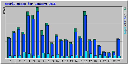 Hourly usage for January 2016