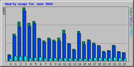 Hourly usage for June 2016