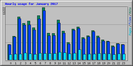 Hourly usage for January 2017